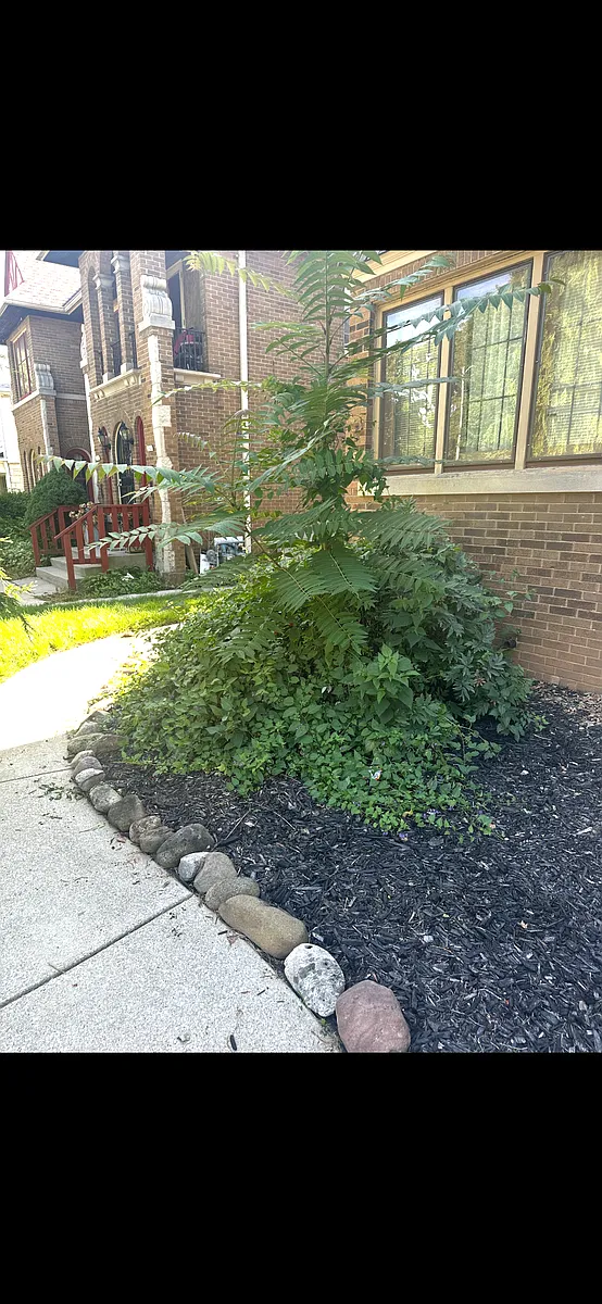 Building Photo - 2853 N Sherman Blvd #2
