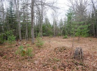 3936 S Deadstream Rd, Houghton Lake, MI 48629