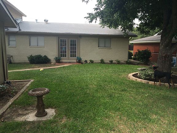 Back yard 