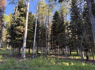 447 Ute Drive, Cimarron, CO 81220