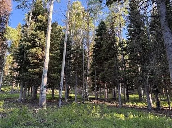 447 Ute Drive, Cimarron, CO 81220