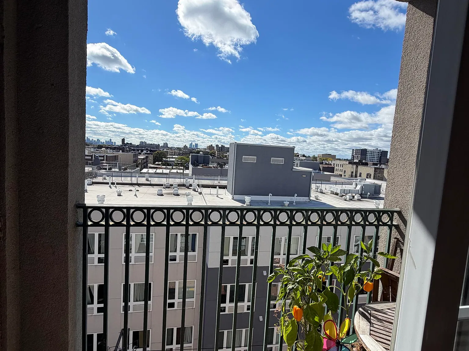 City View — Photo 4