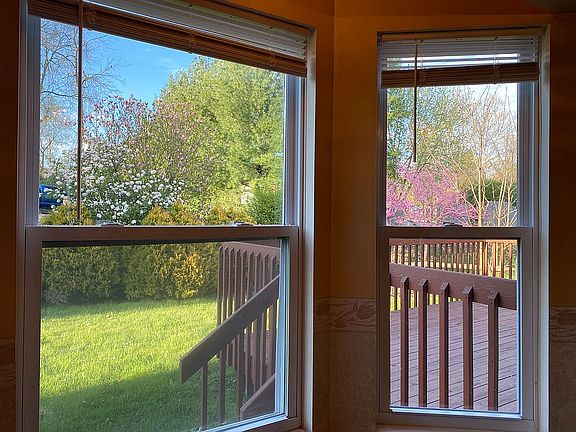 Backyard from bay window