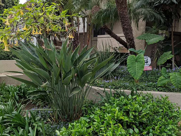 221 S Oak Knoll Ave — Photo 20