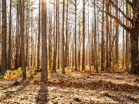 4th image of LOT 1 Old Waverly Rd