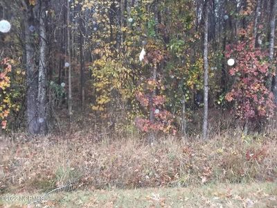 Lot 3 Sueola Beach Road, Hertford, NC, 27944