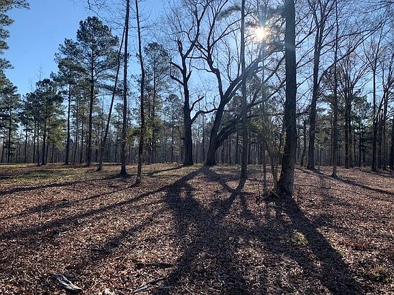 3rd image of 385 Shagbark Way