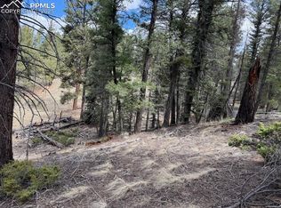 472 Pinewood Rd, Florissant, CO 80816