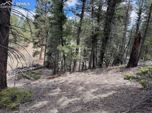 472 Pinewood Rd, Florissant, CO 80816