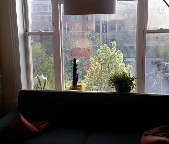 looking west out living room window