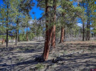 736 Majestic Dr, Pagosa Springs, CO 81147