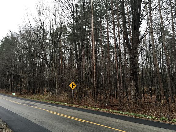 Wooded buffer from street 