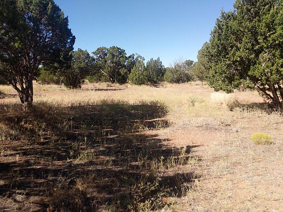 MVIMG_20190920_092823