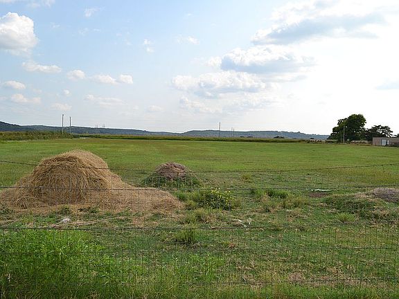 4th image of 24032 County Road 1350