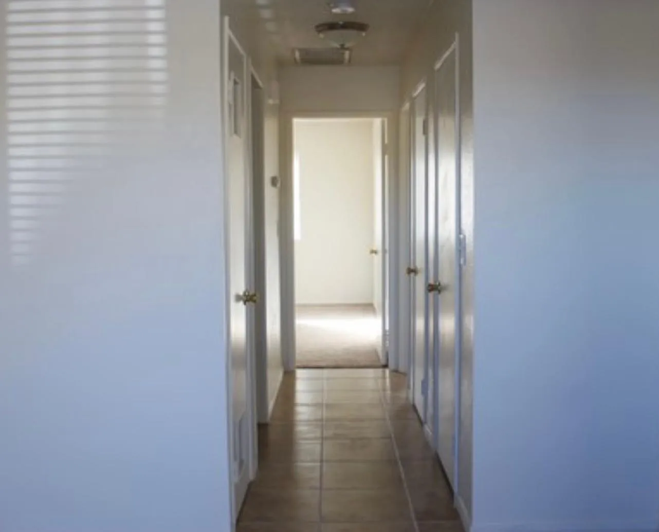 2 bed, 800 sqft, $1,395 — Photo 2