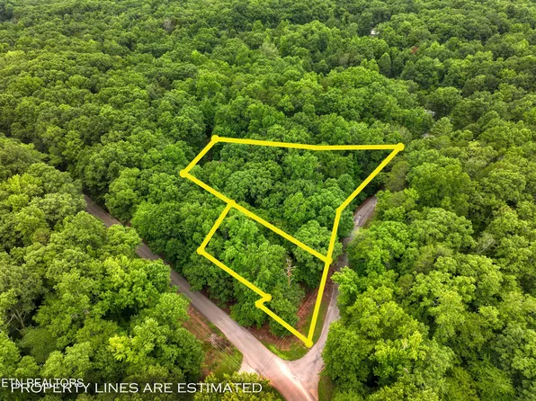 Lake Overlook Dr, Rockwood, TN 37854