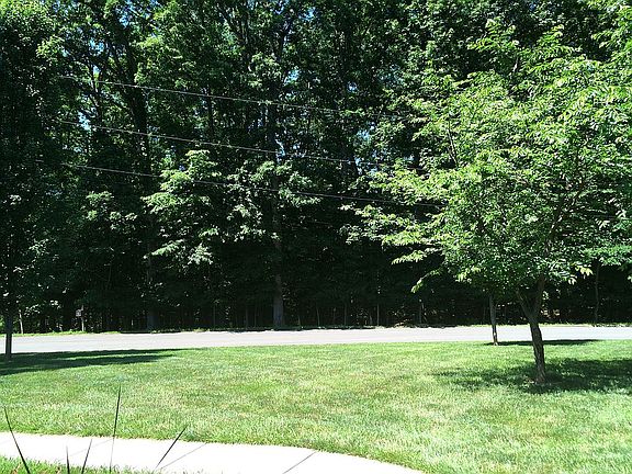 Wooded view from front porch