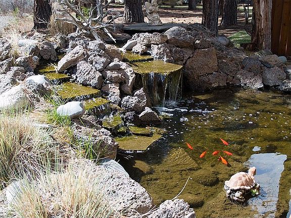 Beautiful waterfall and pond by the patio.