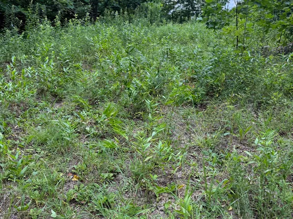 Lot 2 Outlook Road, Murphy, NC 28906