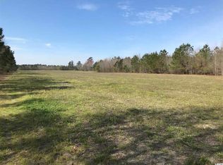 Williamson Road Quail Rd, Hemingway, SC 29554