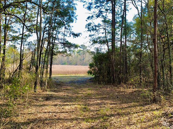 3rd image of 1 Westbury Rd