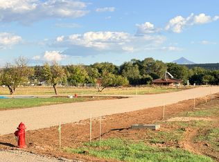 102 N Oro Pl #12, Norwood, CO 81423