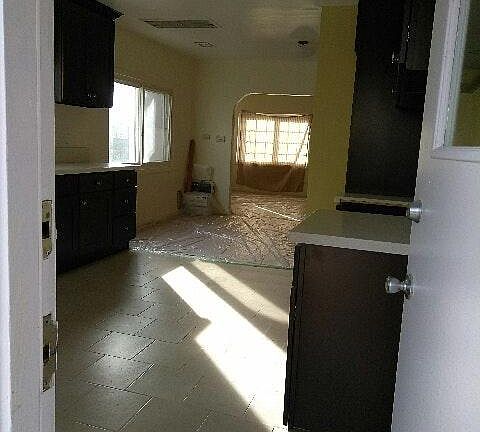 View from the backdoor looking in