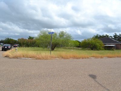 230 Caramel Dr, Alamo, TX, 78516