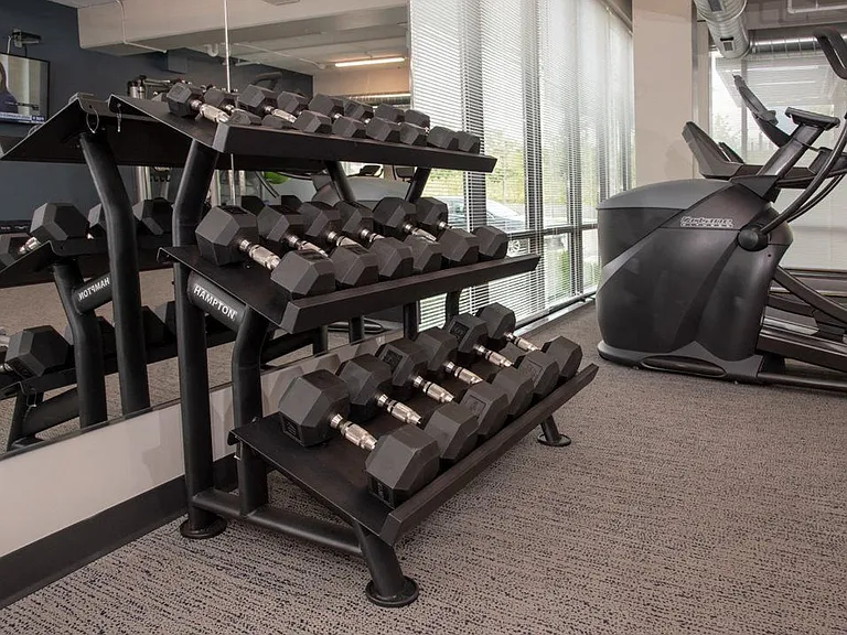 Ample Fitness Options