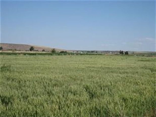 2nd image of 6770 S Happy Valley Rd