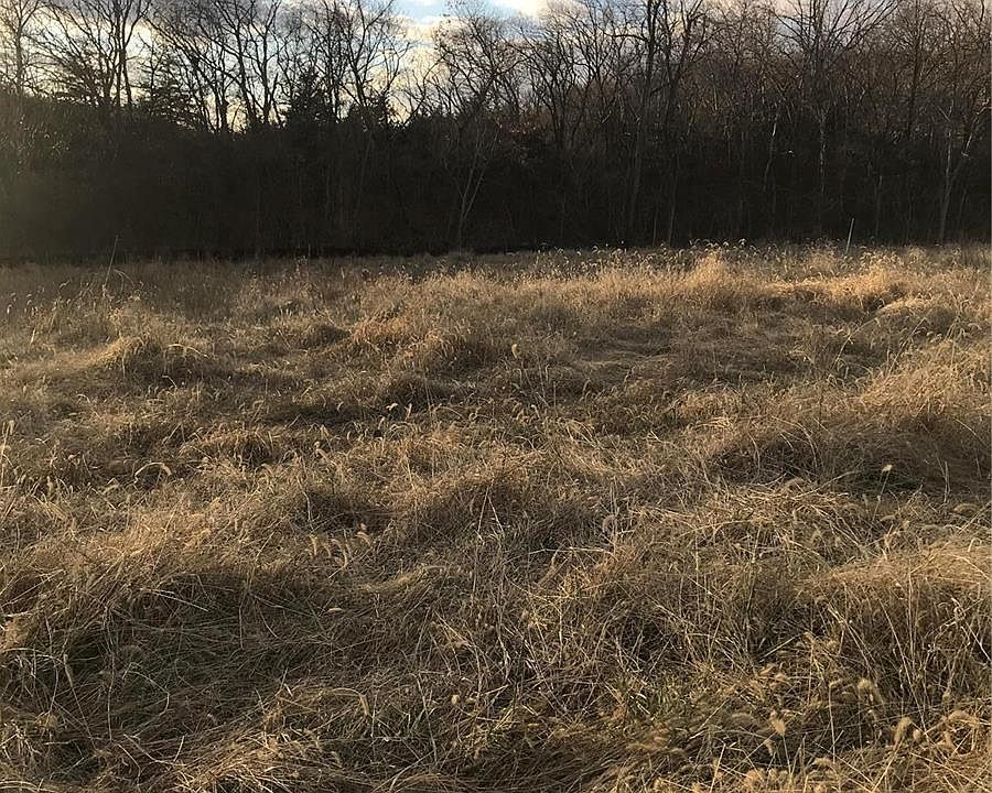 2nd image of LOT Nine Of Dry Fork Mdws