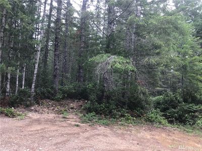 415 NE Dewatto Rd, Tahuya, WA, 98588
