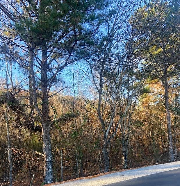 1st image of 1242 Lee Road 197
