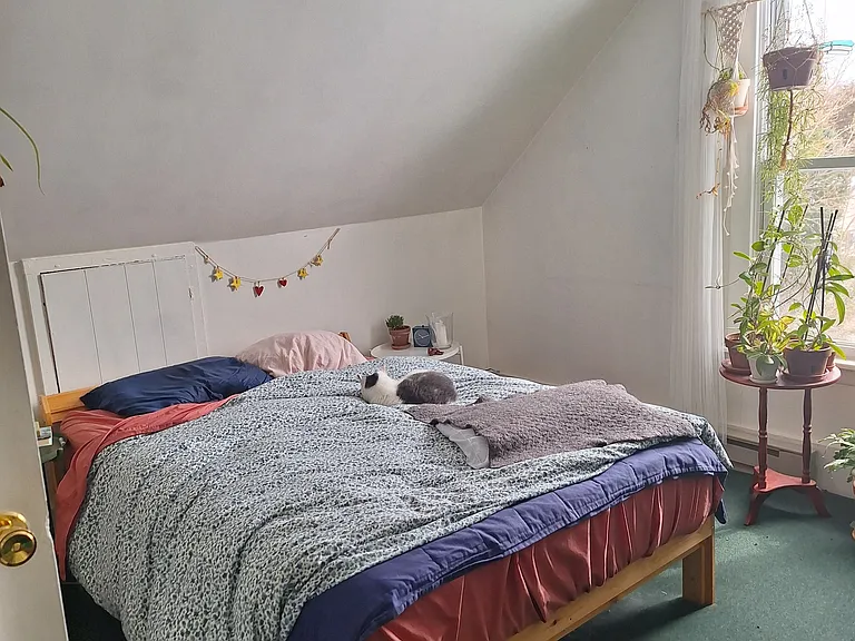 131 Russell St #3 — Photo 6