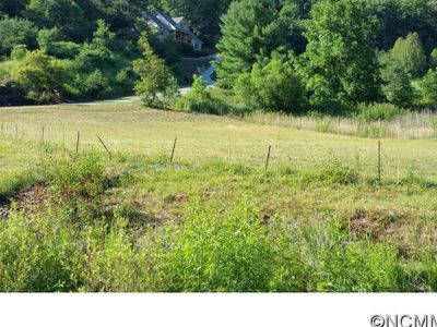 29 Hawtree Ct, Weaverville, NC, 28787