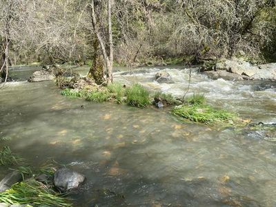 17214 Scopar Rd, Grass Valley, CA, 95949