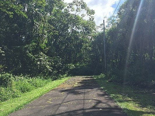 1st image of Puhi St Lot 1795
