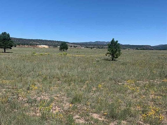 3rd image of 114 Old Sawmill Rd