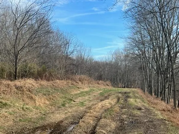 0 State Highway 62, Horse Branch, KY 42349