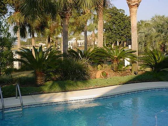 View of Lush Tropical Shrubbery