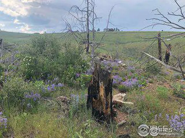 1360 Meadow Mountain Dr, Livermore, CO 80536