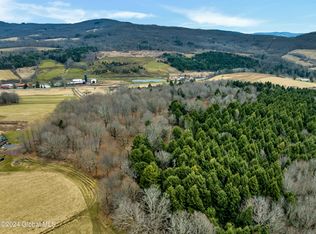 L13 N Harpersfield Rd, Jefferson, NY 12093