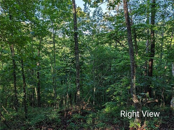 4th image of 772 Naomi Ct