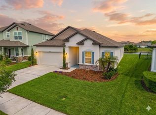 31041 Jazz Leaf Pl, San Antonio, FL 33576