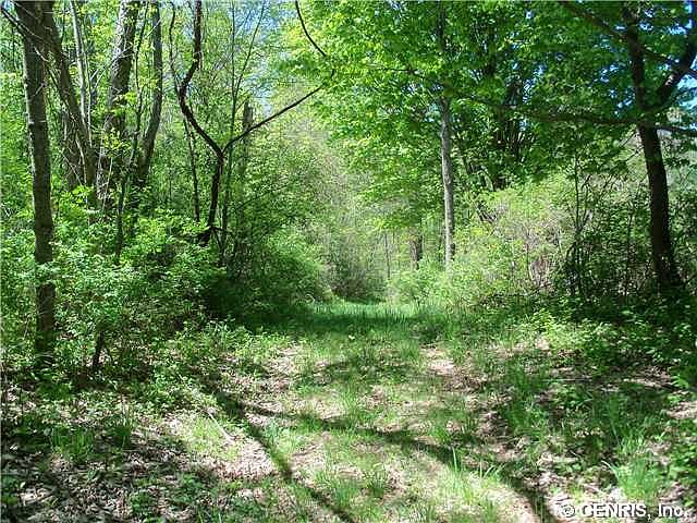 1st image of 0 County Road 36