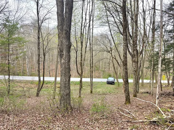 County Highway 52 Lot 13, Cooperstown, NY 13326