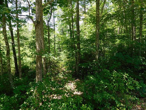 2nd image of Reeves Place 7 Lot 7