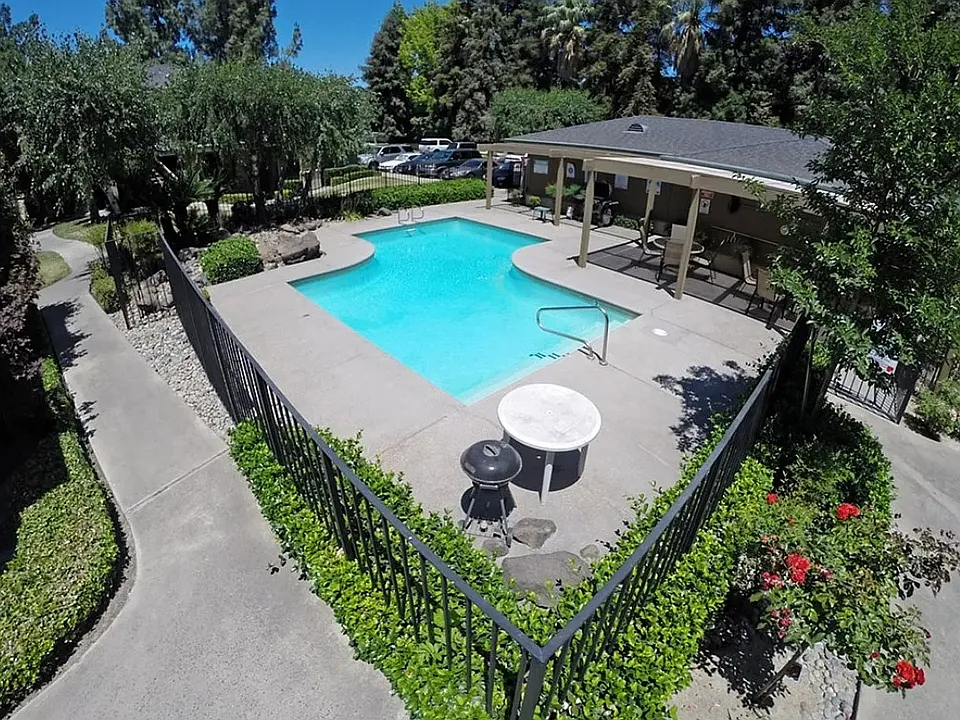 Black Walnut