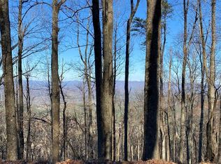 M 171 Walnut Rdg, Ellijay, GA 30536