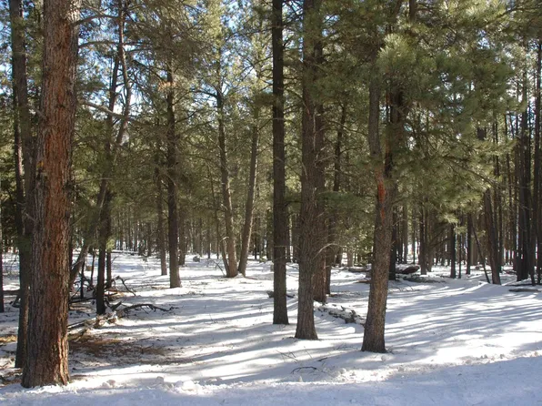 59 San Andres Cir, Angel Fire, NM 87710